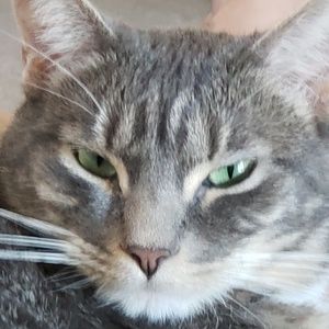 Meet your Posher, Amy